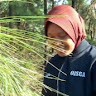 dewi setya