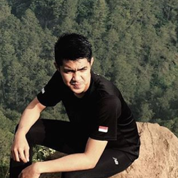 Diko D R