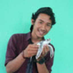 Bachrul Ilman