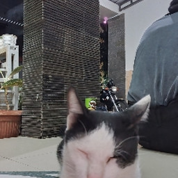 Fadjrin wira