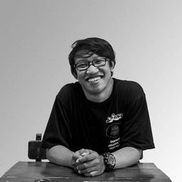 Dika Novi T