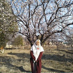 Ami Pertiwi Suwito