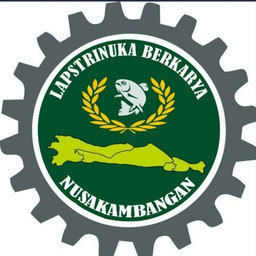 Humas Lapstrinuka