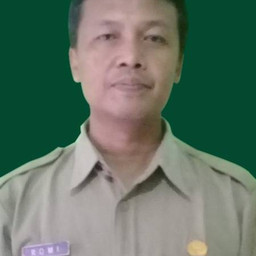 Romi Febriyanto Saputro