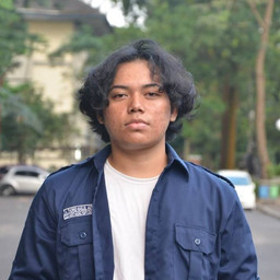 Muhammad Thoriq Nailul Author