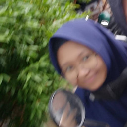 fina aisyiyyah