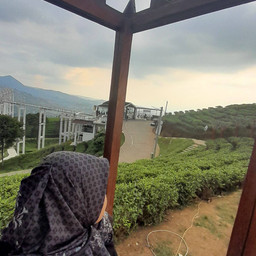 Nafa Shahamah IN