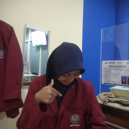 Aiyul Hisbainia
