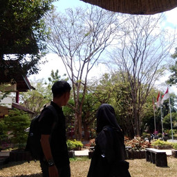 Danu Arafat