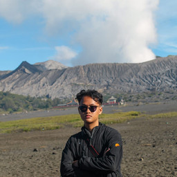 N Dimas Ferdyansyah