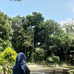 Muthiah Naurah