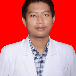 I Made Satria Wibawa