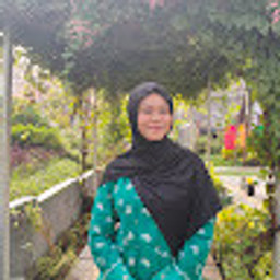 Intan N Aini