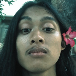 Ari septiawan
