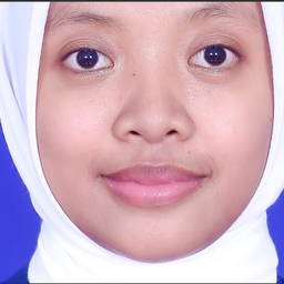 sari budi