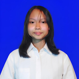 niken meita sari