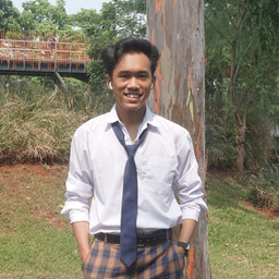Romyza Hernawan