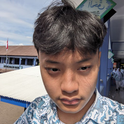 Muhammad Raditya albani