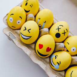 Indowonders