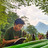 editor-avatar-0