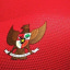 Berita Timnas Indonesia