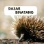 Dasar Binatang