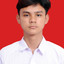 Sulthan Diego Alfantri