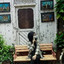 Ellisa Nur Arifah