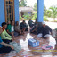 Suryadi