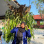 Abidah Ardelia Nurtin