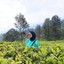 Nabila Fatmasari