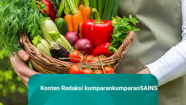 Solusi Praktis Berkebun di Rumah untuk Mendukung Gaya Hidup Berkelanjutan