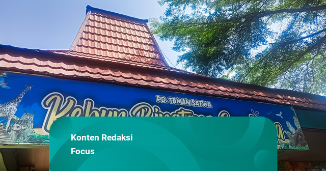 Konten TikTok: KBS Sebut Hewan Tak Kurang Pakan usai Eks Dirut Tersangka Korupsi
