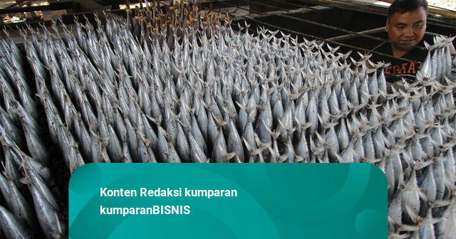 Tarif Ekspor Tuna-Cakalang ke Jepang Jadi 0 Persen Mulai Agustus 2026