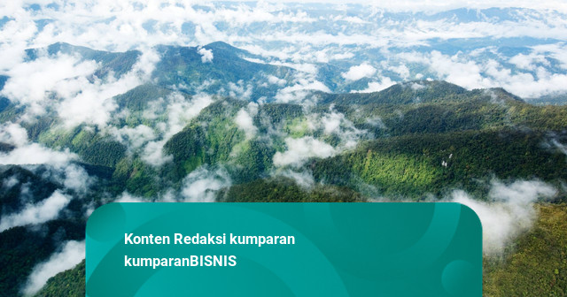 Turunkan Emisi 20,25 Juta Ton CO2e, Indonesia Raih Dana Iklim Rp 1,85 Triliun