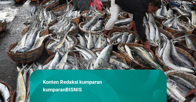 Tuna hingga Gurita Laris, Boga Bahari RI Raup Rp 3,49 T di JISTE 2026 Jepang