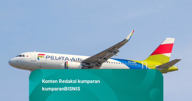 Imbas Erupsi Anak Krakatau, 41 Penerbangan Pelita Air Terdampak