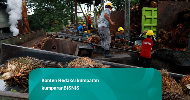 Harga Batu Bara Turun ke USD 127.85 per Ton, Nikel Melesat 1,44 Persen