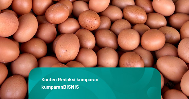 Harga Telur-Daging Ayam Mulai Merangkak Naik di Jakarta