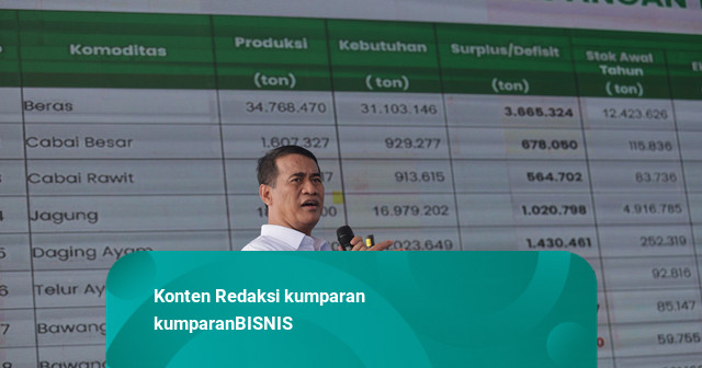 Amran Mau Tarik Beras Fortifikasi Tak Sesuai Standar dari Pasar