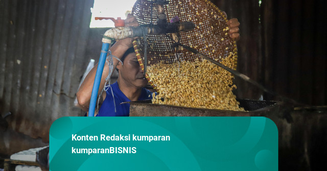 Kebutuhan Kedelai RI Capai 2,6 Juta Ton, Produksi Baru Penuhi 8,14 Persen