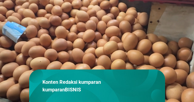 Harga Ayam & Telur Sudah Mulai Naik, Mentan Jamin HAP Dijaga