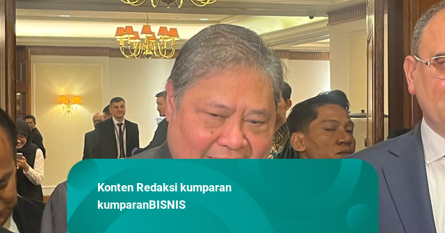 Airlangga Ungkap RI Minta Sawit Dikecualikan dari Tarif AS, Masih Diproses