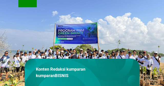 Hari Mangrove Sedunia, PNM Hadirkan Dampak bagi Lingkungan dan Ekonomi Pesisir