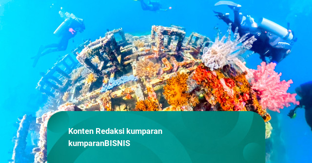Pupuk Kaltim Rehabilitasi 2,23 Ha Terumbu Karang di Tebok Batang