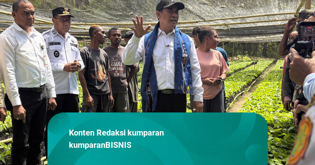 Beri Bibit Kakao-Kelapa, Mentan Yakin Bisa untuk Pengentasan Kemiskinan di Alor
