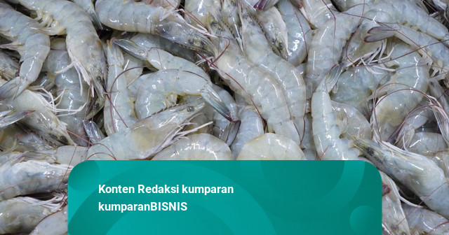 120 Ton Udang Ekuador Masuk RI, KKP Minta Prioritaskan Produksi Dalam Negeri