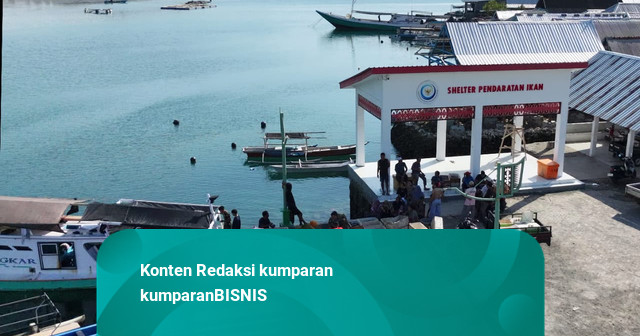 Uji Coba 65 Kampung Nelayan Merah Putih, 273 Ton Ikan Berhasil Dipasarkan