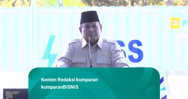 Prabowo Klaim Kinerja Danantara Membanggakan: Pantas Dapat Bintang dari Negara