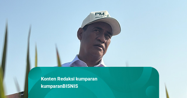 Genjot Produksi Gabah, Mentan Bakal Subsidi Benih Padi 1 Juta Ha pada 2027